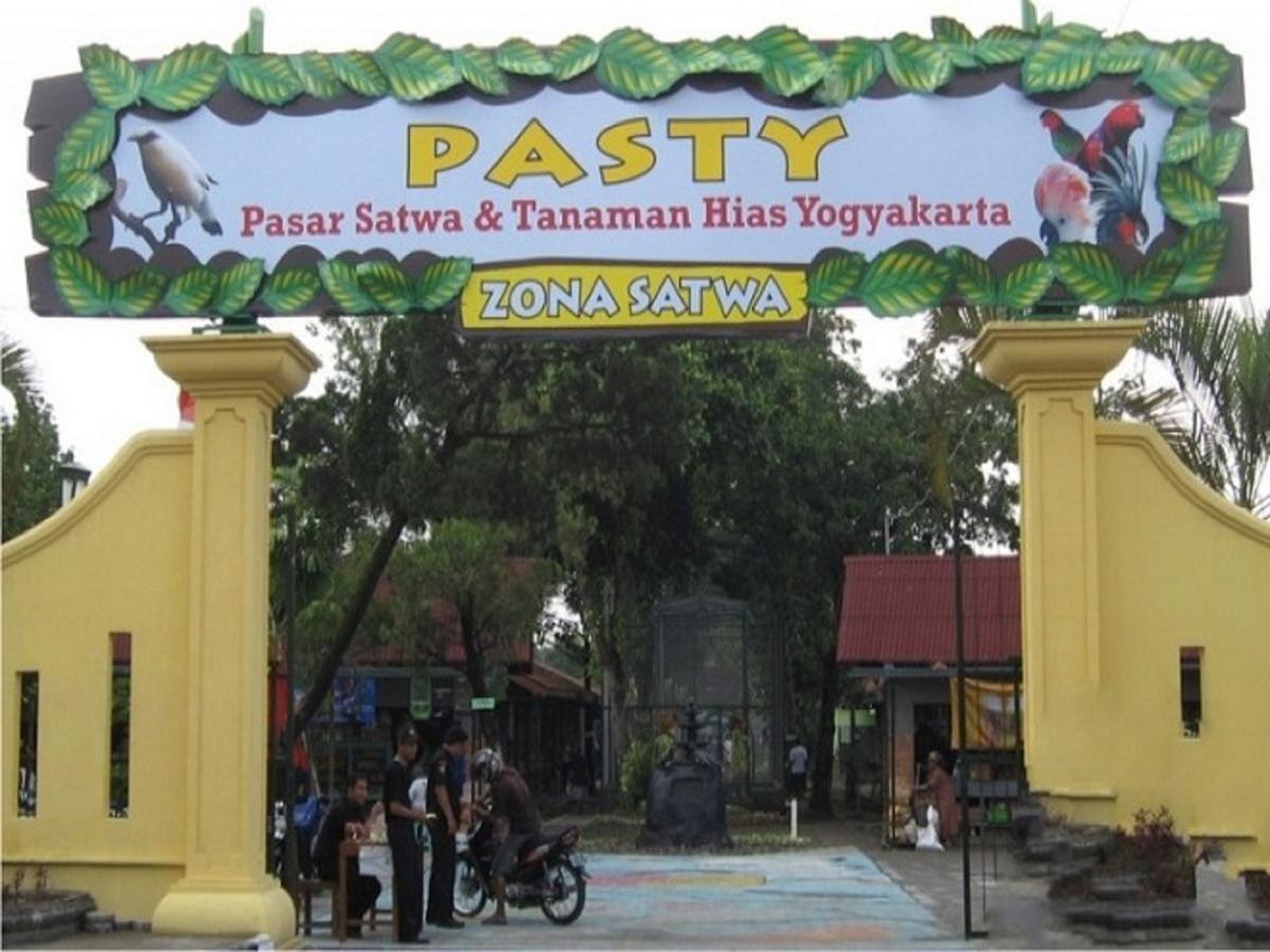 La Javanaise Home Stay Malioboro Yogyakarta Dış mekan fotoğraf
