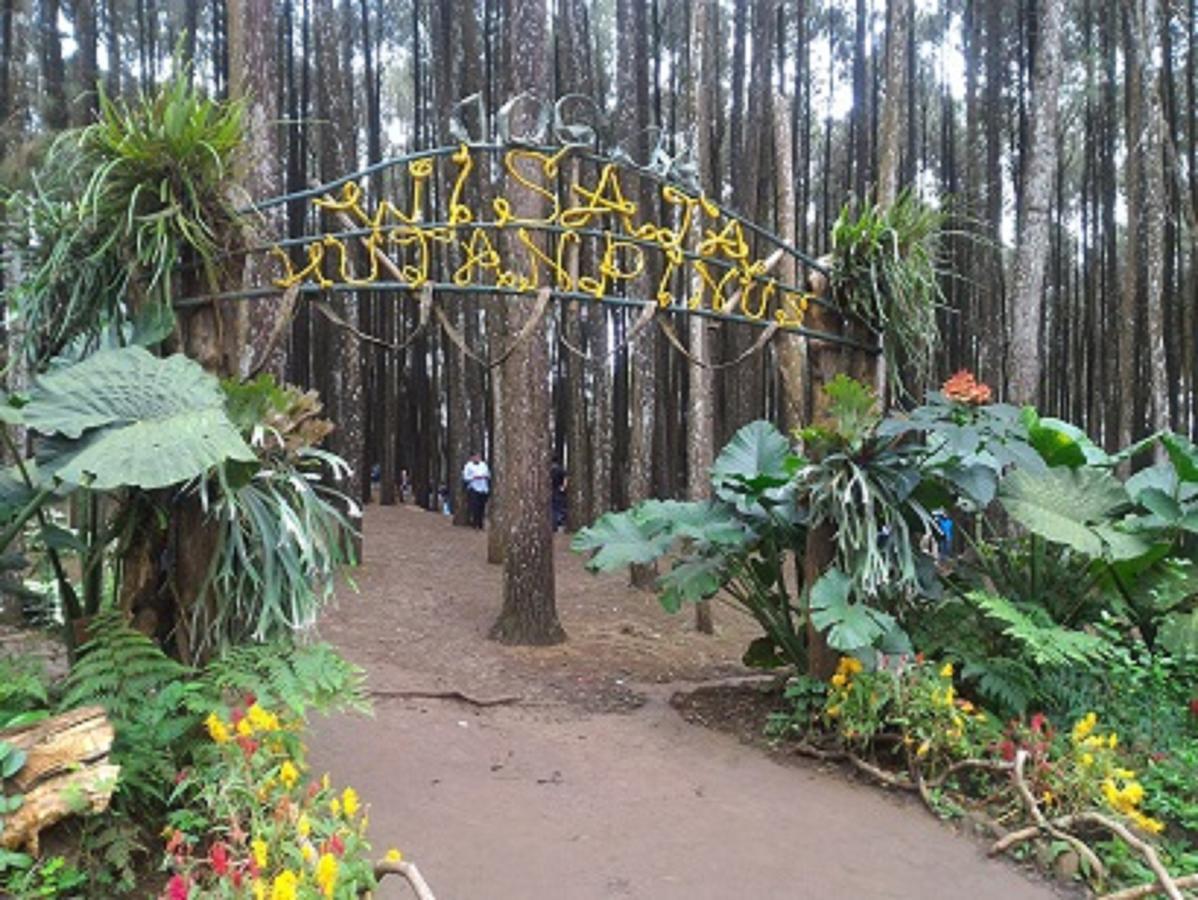 La Javanaise Home Stay Malioboro Yogyakarta Dış mekan fotoğraf